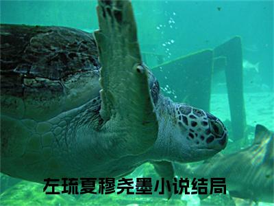 左琉夏穆尧墨小说（左琉夏穆尧墨）全文免费阅读无弹窗大结局_左琉夏穆尧墨全文免费完结版阅读（左琉夏穆尧墨）