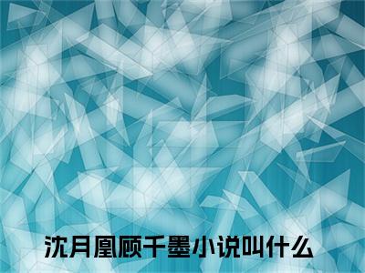 沈月凰顾千墨热门小说在线阅读 沈月凰顾千墨全网推荐（沈月凰顾千墨）全文