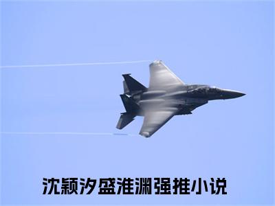 (热推新书)沈颖汐盛淮渊小说在线分享-（沈颖汐盛淮渊）小说全文免费阅读_沈颖汐盛淮渊最新章节列表_笔趣阁
