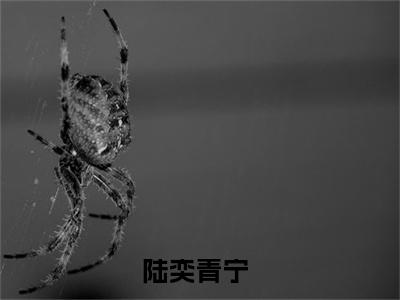 陆奕青宁全文(陆奕青宁)全文免费阅读无弹窗大结局_(陆奕青宁全文免费阅读全文大结局)陆奕青宁最新章节列表_笔趣阁（陆奕青宁全文）