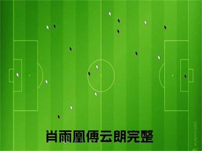 肖雨凰傅云朗小说（肖雨凰傅云朗）全文免费阅读结局-肖雨凰傅云朗强推全文阅读无弹窗
