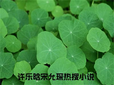 许乐晗宋允琛（许乐晗宋允琛）全文免费阅读无弹窗大结局_许乐晗宋允琛全文免费完结版阅读（许乐晗宋允琛）
