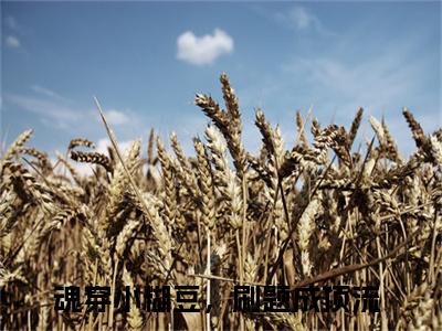 魂穿小糊豆，刷题成顶流最新章节（林霏）全文免费阅读无弹窗大结局_林霏免费阅读（魂穿小糊豆，刷题成顶流）