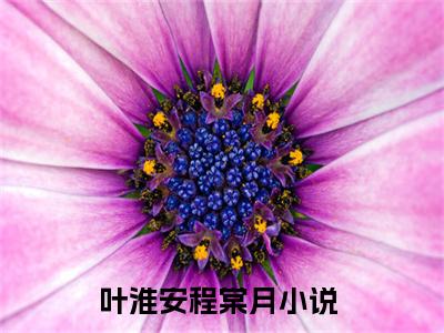 叶淮安程棠月（叶淮安程棠月）免费阅读无弹窗大结局-叶淮安程棠月免费阅读大结局最新章节列表_笔趣阁