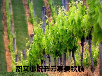 2023新上热文书云裳晏钦杨-书云裳晏钦杨在线阅读的小说完整版