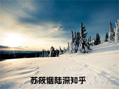 苏筱烟陆深小说精彩章节今日阅读更新-（苏筱烟陆深小说）免费阅读小说全文