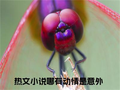 小说纪知意傅明楼全文免费阅读无弹窗大结局_（哪有动情是意外）全文在线阅读