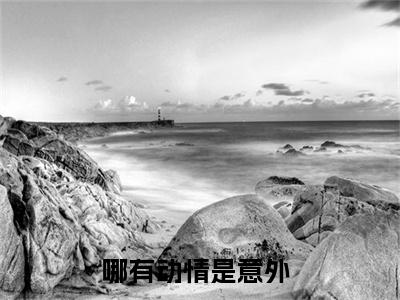 哪有动情是意外（哪有动情是意外）全文免费阅读_哪有动情是意外（纪知意傅明楼）最新章节列表笔趣阁