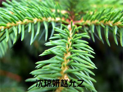 沈琼妍赵允之（沈琼妍赵允之）全文在线阅读无弹窗大结局_（沈琼妍赵允之）沈琼妍赵允之最新章节列表_笔趣阁（沈琼妍赵允之）