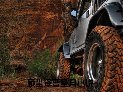 顾尘泽曹星月(顾尘泽曹星月)全文免费阅读无弹窗大结局_(顾尘泽曹星月免费阅读全文大结局)最新章节列表_笔趣阁（顾尘泽曹星月）