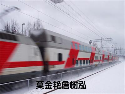 莫金艳詹树泓无广告小说（莫金艳詹树泓）全文免费阅读无弹窗大结局-莫金艳詹树泓在线阅读