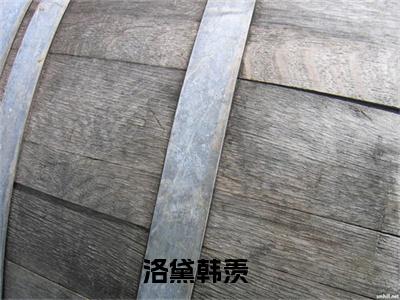 洛黛韩羡（洛黛韩羡）全文免费阅读无弹窗大结局_（洛黛韩羡）洛黛韩羡全文最新章节列表_笔趣阁（洛黛韩羡）