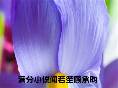 闻若笙顾承昀（闻若笙顾承昀）全文免费阅读无弹窗大结局_闻若笙顾承昀最新章节列表_笔趣阁无删减