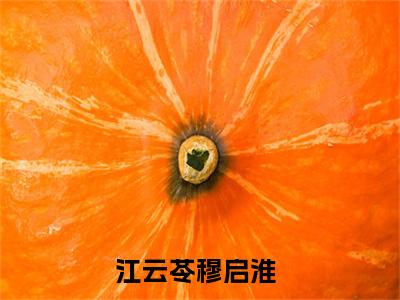 江云苓穆启淮(江云苓穆启淮)小说最新章节免费阅读_ 江云苓穆启淮免费阅读无弹窗最新章节列表_笔趣阁