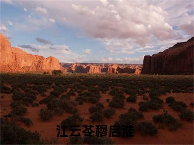 江云苓穆启淮小说最新试读_江云苓穆启淮是(江云苓穆启淮全文完整版免费阅读)_笔趣阁