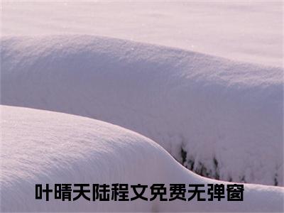 男女主人公叫叶晴天陆程文的小说叶晴天陆程文免费在线