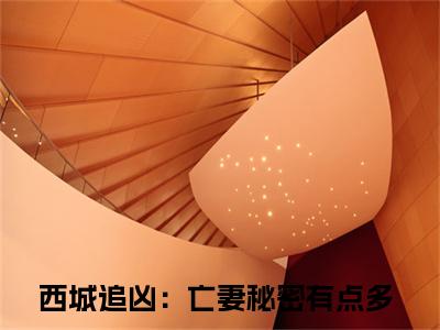 主角是程安雨的小说-西城追凶：亡妻秘密有点多全文无弹窗免费阅读