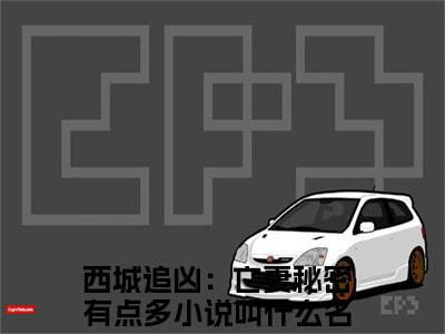 （西城追凶：亡妻秘密有点多）程安雨全文免费阅读无弹窗_（程安雨小说免费阅读）最新章节列表笔趣阁