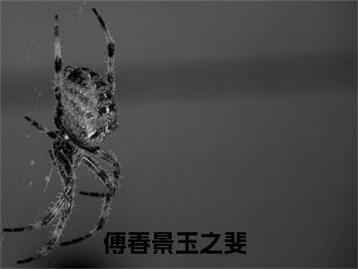 傅春景玉之斐（傅春景玉之斐）小说全文免费阅读无弹窗_（傅春景玉之斐）最新章节列表_笔趣阁