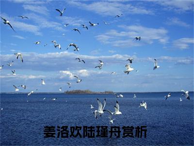姜洛欢陆瑾舟在线阅读的小说完整版-姜洛欢陆瑾舟（姜洛欢陆瑾舟）小说免费阅读