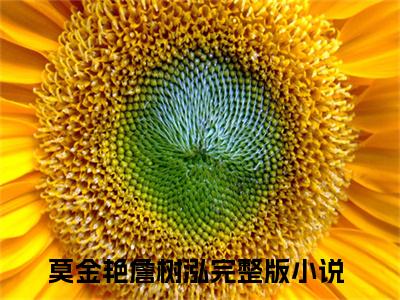 莫金艳詹树泓全文（莫金艳詹树泓）抖音热推小说全集无删减_莫金艳詹树泓免费最新章节列表_笔趣阁