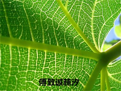 傅致诚林汐小说全文-（傅致诚林汐）精选小说傅致诚林汐大结局阅读