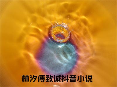 林汐傅致诚（林汐傅致诚）完整版小说阅读_林汐傅致诚全文免费阅读笔趣阁（林汐傅致诚）