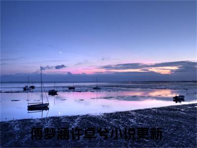 傅梦涵许卓兮小说免费大结局全集免费阅读 傅梦涵许卓兮章节目录