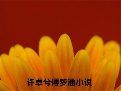 许卓兮傅梦涵最新章节（许卓兮傅梦涵免费阅读）-许卓兮傅梦涵小说在线阅读完整版