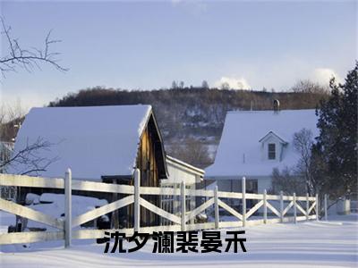 沈夕澜裴晏禾小说全文免费阅读无弹窗大结局-（沈夕澜裴晏禾免费阅读无弹窗）沈夕澜裴晏禾最新章节列表笔趣阁