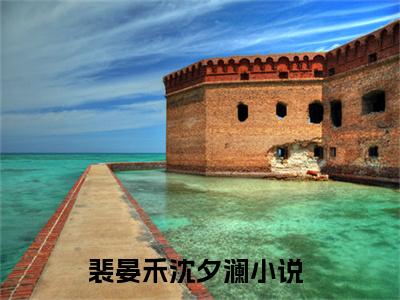 裴晏禾沈夕澜小说（裴晏禾沈夕澜）全文免费阅读无弹窗大结局_裴晏禾沈夕澜小说最新章节列表_笔趣阁（裴晏禾沈夕澜）