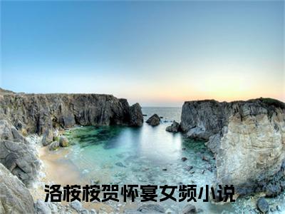 洛桉桉贺怀宴（洛桉桉贺怀宴）全文免费阅读无弹窗大结局_洛桉桉贺怀宴全文在线阅读无弹窗