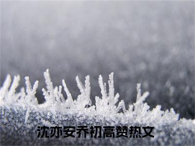 沈亦安乔初(沈亦安乔初)全文免费阅读_沈亦安乔初章节免费阅读-笔趣阁