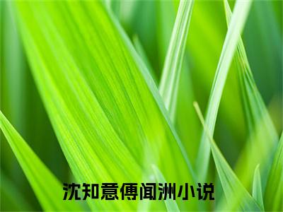 沈知意傅闻洲最新章节阅读-沈知意傅闻洲免费阅读大结局无弹窗