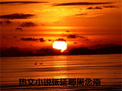 张延卿周念南最新章节（张延卿周念南）全文免费阅读无弹窗大结局_张延卿周念南全文免费阅读