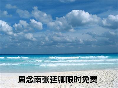 周念南张延卿在线阅读全文免费阅读无弹窗大结局-周念南张延卿最新章节列表-笔趣阁