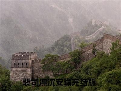 裴司凛沈安瑜全文免费阅读无弹窗大结局_裴司凛沈安瑜(裴司凛沈安瑜最新章节在线阅读)_笔趣阁