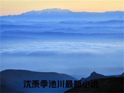 沈羡季池川(沈羡季池川)全文免费阅读无弹窗大结局_(沈羡季池川)沈羡季池川小说免费阅读最新章节列表笔趣阁（沈羡季池川）