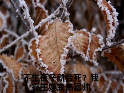 陆浩然柯瑾瑶(不生孩子就会死？我靠生娃变高富帅）全文免费阅读无弹窗大结局_ 陆浩然柯瑾瑶最新章节完整版阅读
