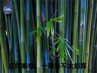 姜瑜时泉（这件事情，一晚我不太划算）全文免费阅读无弹窗大结局-姜瑜时泉免费阅读全文大结局-笔趣阁