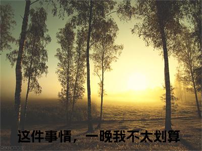 这件事情，一晚我不太划算小说全文（姜瑜时泉）全文免费阅读无弹窗大结局_姜瑜时泉小说免费最新章节列表_笔趣阁（这件事情，一晚我不太划算）