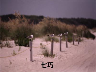 《穿成农家女 ：耕田织布成首富》七巧(热推新书)-抖音热推七巧无弹窗阅读