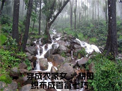 小说七巧完整版在线阅读 穿成农家女 ：耕田织布成首富精选小说推荐试读