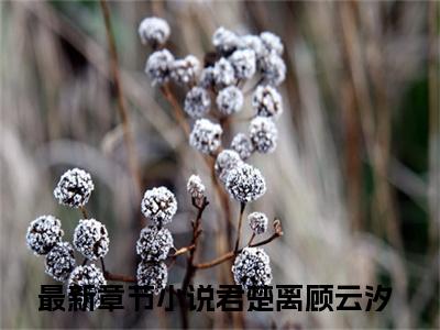 君楚离顾云汐全文免费阅读_（掐腰宠：夫君有颗美人痣免费阅读无弹窗）君楚离顾云汐最新章节在线阅读笔趣阁