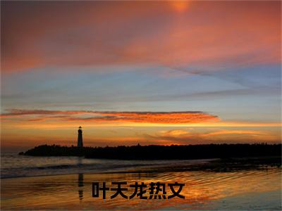 （龙潜花都小说免费阅读）叶天龙全文免费阅读无弹窗大结局-龙潜花都全文免费版阅读