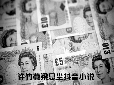 许竹薇梁息尘小说全文在线赏析 许竹薇梁息尘小说免费阅读全文大结局