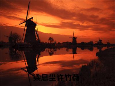 梁息尘许竹薇（梁息尘许竹薇）全文在线阅读无弹窗大结局_(梁息尘许竹薇免费阅读全文大结局)最新章节列表_笔趣阁（梁息尘许竹薇）