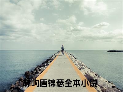 林峋唐锦瑟(林峋唐锦瑟）小说全文免费阅读无弹窗大结局_（林峋唐锦瑟）小说全文免费阅读最新章节列表笔趣阁