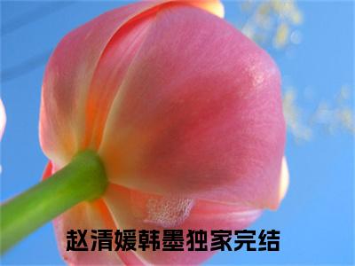 赵清媛韩墨小说免费版最新更新阅读-赵清媛韩墨全文免费阅读