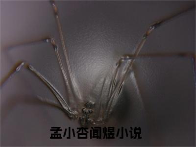 孟小杏闻煜（孟小杏闻煜）最新章节在线阅读-（孟小杏闻煜）小说全文免费阅读